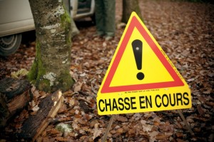chasse-en-cours